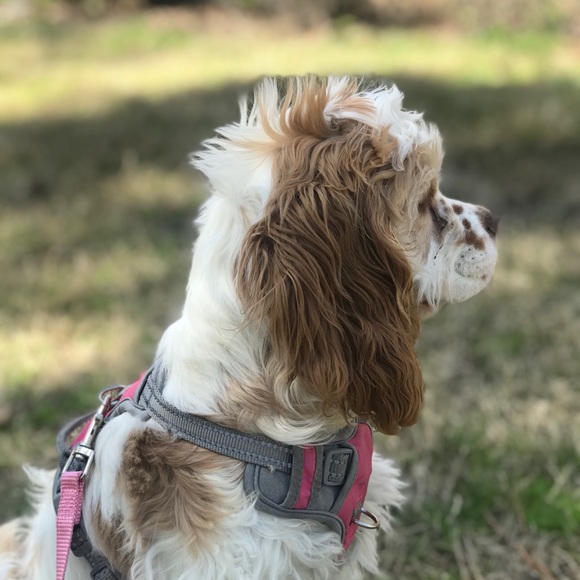 Meet your Posher, Naomi - Picture 9 of 11